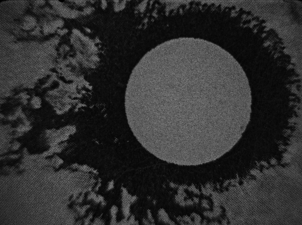 BR SWYA TITLE TBC 01