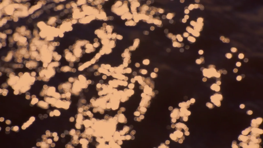 Screen Shot 2014-08-05 at 16.29.22